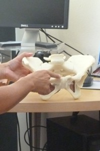 bekken staand 789 1183 3 2